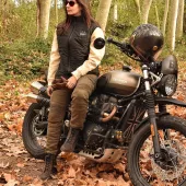 Falco 752 Ace lady brown