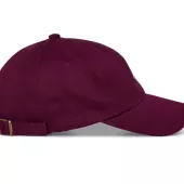 Czapka Alpinestars Deduce Strapback "dad" burgundy