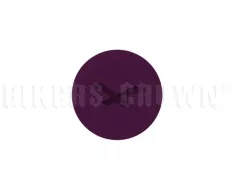 NEXX SX.10 04BOT00004 śruba do bakłażana