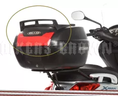 Shad D1B40PTR kratka SH40