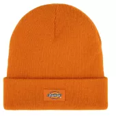 Czapka DICKIES GIBSLAND AUTUMN MAPLE