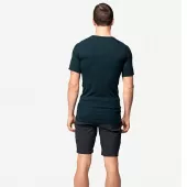 Koszulka męska Devold GO Lauparen Merino 190 Base Tee Ink