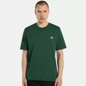 DICKIES Ss Mapleton t-shirt pine needle green vel. M
