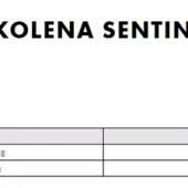 Ochraniacze kolan do motocrossu Thor Sentinel czarne