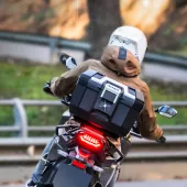 Górna obudowa Shad Terra TR41 full black