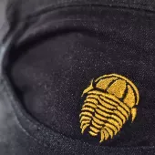 Damskie jeansy motocyklowe Kevlar Trilobite Parado slim fit czarne poziom 2 rozmiar 34
