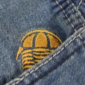 Damskie jeansy motocyklowe Kevlar Trilobite Parado slim fit poziom 2 rozmiar 26